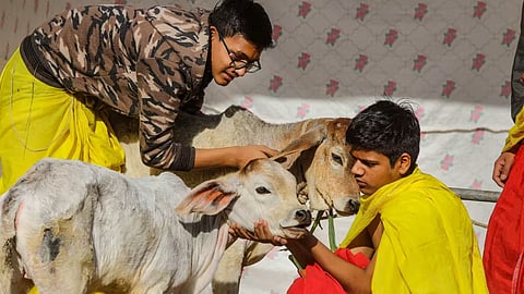 Representative Image