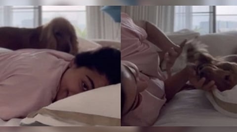 Rashmika Mandanna shared a video with her pooch Aura