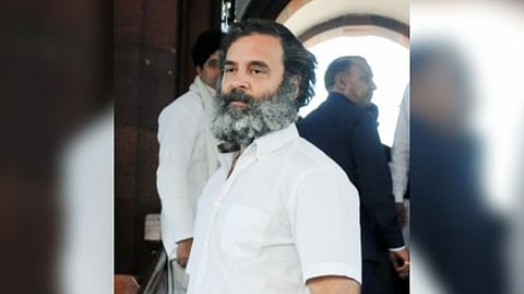 Congress MP Rahul Gandhi