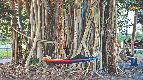 Defining features: In the age of AI, major in being human