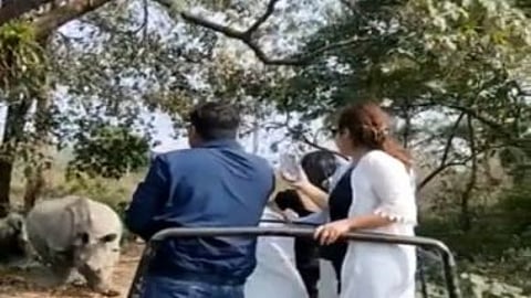 7 tourists hurt, 2 critical in West Bengal rhino attack
