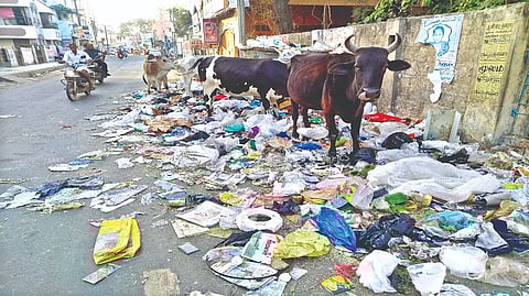 Garbage on Pozhichalur main road eyesore to locals