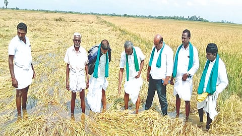 Declare Delta disaster-hit, urge farmers hit by untimely rains