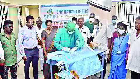 Collector Dinesh Ponraj Oliver at newly opened SPCA centre in Thanjavur