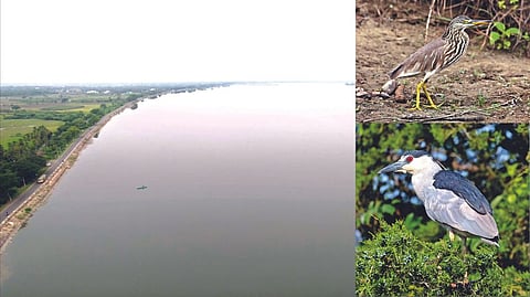 Aerial view of Veeranam lake