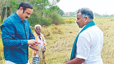 Anbumani Ramadoss said, the Delta farmers have faced severe damage to their paddy that was ready for harvest.