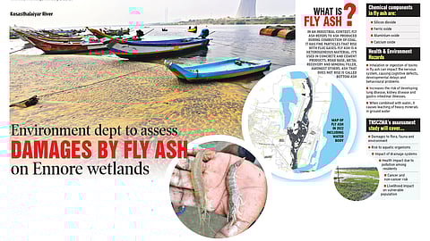 Environment dept to assess damages by fly ash on Ennore wetlands