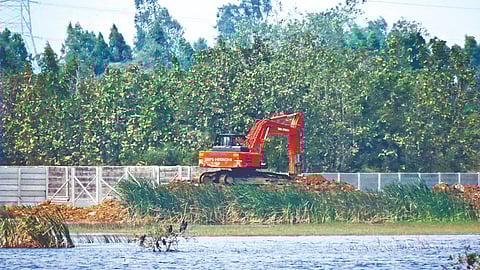 Excavator filling
the lake