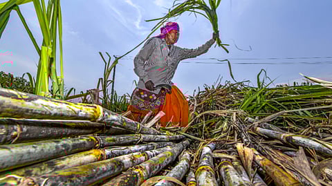 Representative image