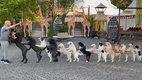 Screengrab from video