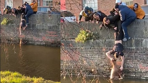 Students in Manchester successfully rescuing a dog from a canal