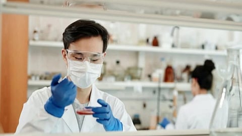 Representative image