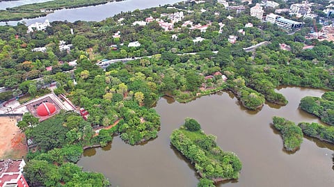 Tamil Nadu has 43,916 wetlands, including 5,013 natural wetlands, spread over more than 9 lakh hectares