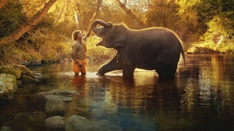 When 'The Elephant Whisperers' director met Raghu...