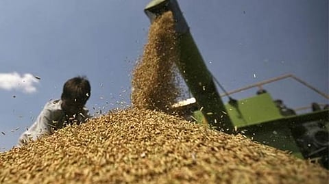 Set up welfare board to protect traders’ interest: TNFMAL