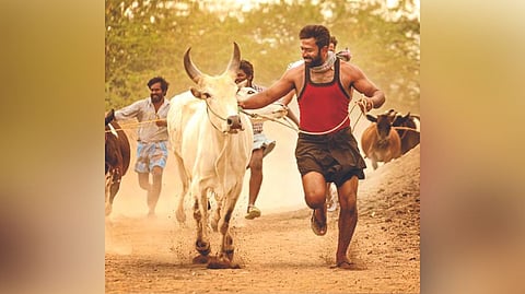 Shanthnu Bhagyaraj in 'Raavana Kottam'