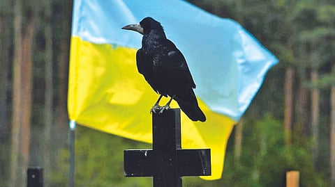 Representative Image