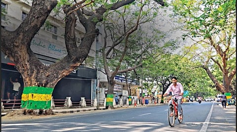 Alwarpet, courted by Kollywood