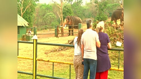 A visual from the site