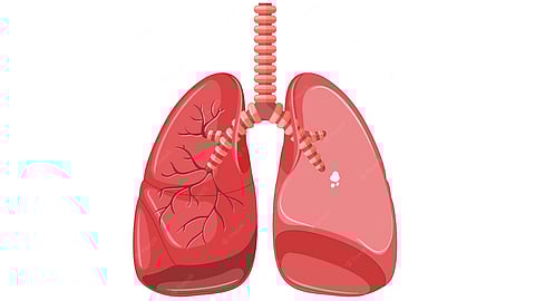 World TB Day: Delay in diagnosis a major challenge, say experts