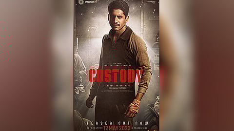 Custody movie poster