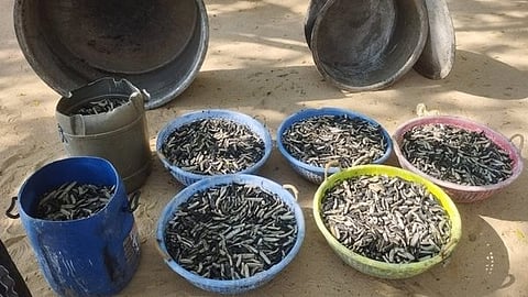 Visuals from the spot