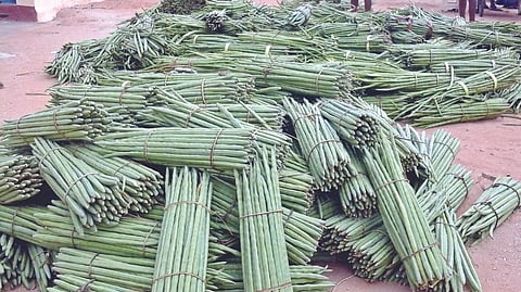 Moringa bundles at Aravakurichi in Karur waiting for transportation