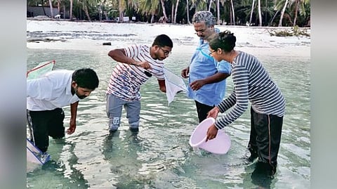 Representative image