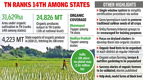 TN’s organic policy prepares field for safe food, soil health