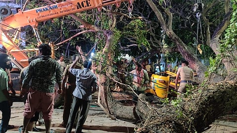 Woman passenger crushed to death after tree falls on auto