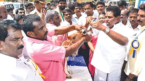 Minister Anitha Radhakrishnan at an awareness programme in Thoothukudi