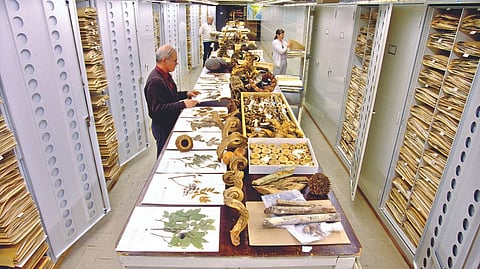 The survey revealed important gaps in the world?s collections.