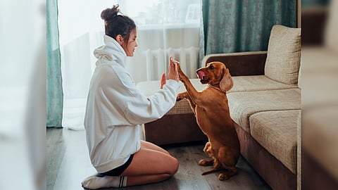 Representative Image