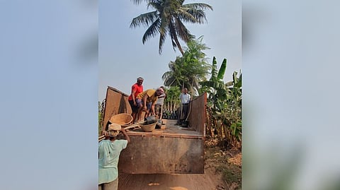 The civic body has been transporting plant and tall tree saplings to be kept in the city parks as its continuing efforts to improve the green cover in the Chennai corporation limit