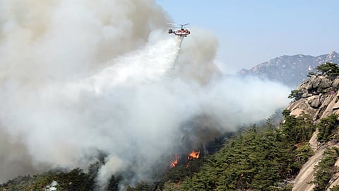 Visuals from the spot