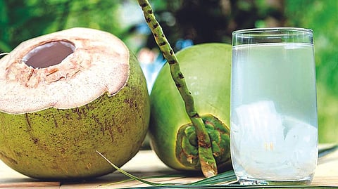 Coconut water has natural cooling properties that can help regulate body temperature and reduce heat stress