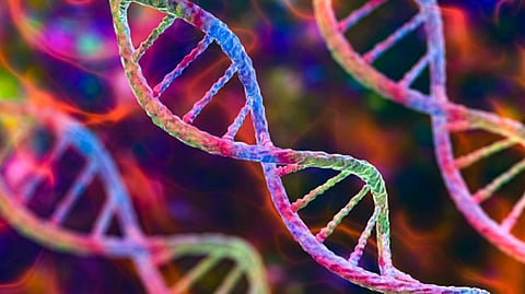 Reprresentative image