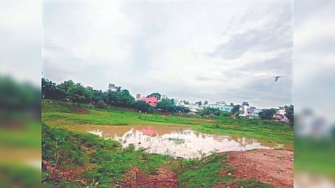 The Karuppan pond in Ambattur seeking attention