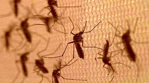 Representative Image