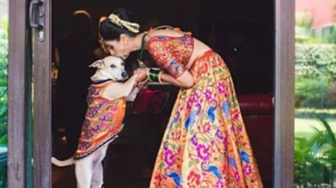 The rise of pet-friendly weddings in India