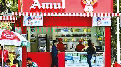 No competition with Nandini; to sell milk, curd online : Amul chief