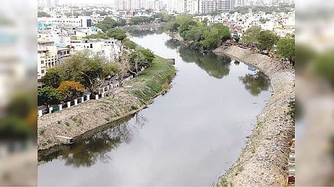 Representative image