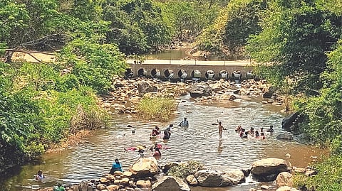 Top in tourism, TN has more spots to explore beaches