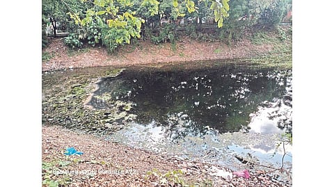 Residents of Ambattur crying foul over the state of Thangal lake in the area.