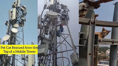 Screengrab from the video.