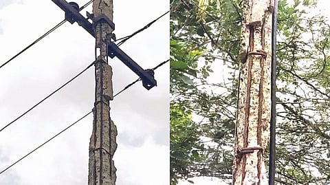 Dilapidated electric poles seen in Padappai.