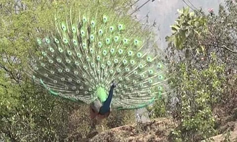 Representative Image