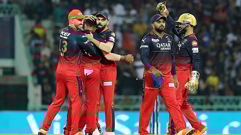 RCB players celebrating a wicket