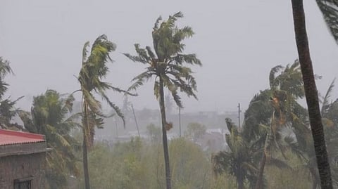 Representative image