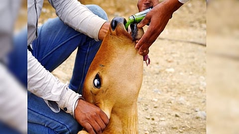 Representative image